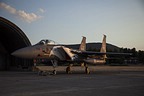 90 Years RSAF F-15 Eagle