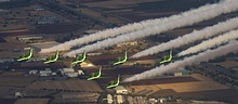 Saudi Hawks