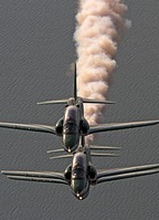 Saudi Hawks