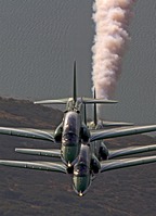 Saudi Hawks