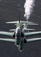 Saudi Hawks