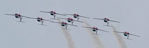 Snowbirds display