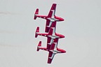 Snowbirds display