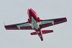 Snowbirds display