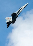 Swiss Hornet Demo