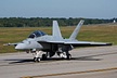 F/A-18F Super Hornet