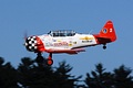 AeroShell T-6 Texan