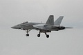 US Navy F/A-18C Hornet