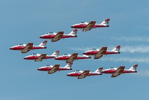 Snowbirds CT-114