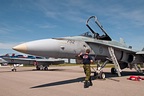 CF-18 Hornet Demo 2012