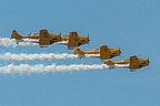 CHAA Aerobatic Team
