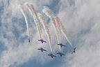 Snowbirds