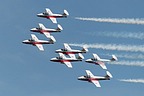 Snowbirds