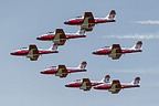 Snowbirds