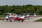 Snowbirds