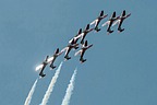 Snowbirds