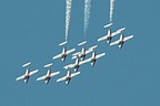 Snowbirds