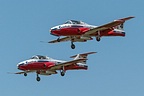 Snowbirds #4 and #6