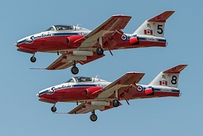 Snowbirds #5 and #8