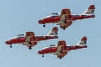 Snowbirds #5 #8 #11