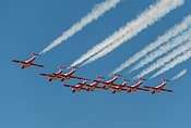 Snowbirds CT-114