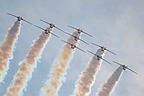 Snowbirds CT-114
