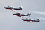 Snowbirds CT-114