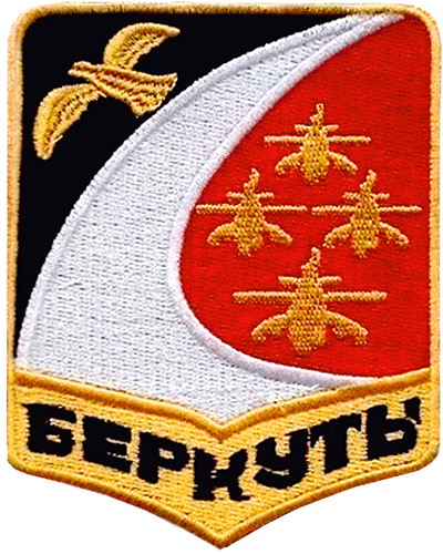 Berkuty (Golden Eagles) Patch