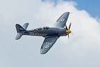 Sea Fury