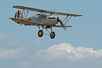 Hawker Nimrod