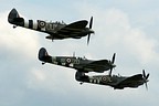 Spitfires