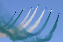 Saudi Hawks