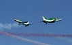 Saudi Hawks display