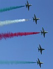 Saudi Hawks display