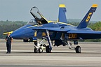 USN Blue Angels ground show