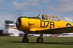 Yellow Harvard No.78