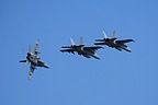 Hornet formation breaking