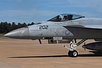 VFA-81 "Sunliners" F/A-18E Super Hornet