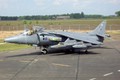 n05_harrier_01.JPG n05_harrier_01.JPG