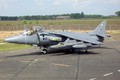 n05_harrier_01.JPG