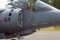 n05_harrier_03.JPG