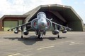 n05_harrier_05.JPG