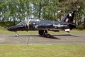 n05_hawk_02.JPG