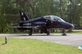 n05_hawk_03.JPG