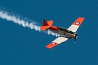 RNZAF Historic Flight Harvard