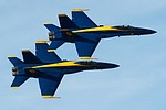 U.S. Navy Blue Angels