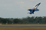 U.S. Navy Blue Angels