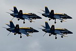 U.S. Navy Blue Angels