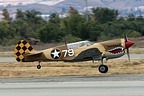 Kittyhawk Mk. IV