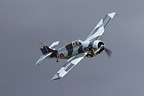 FM-2 Wildcat 86819 painted as British Martlet Mk. VI 